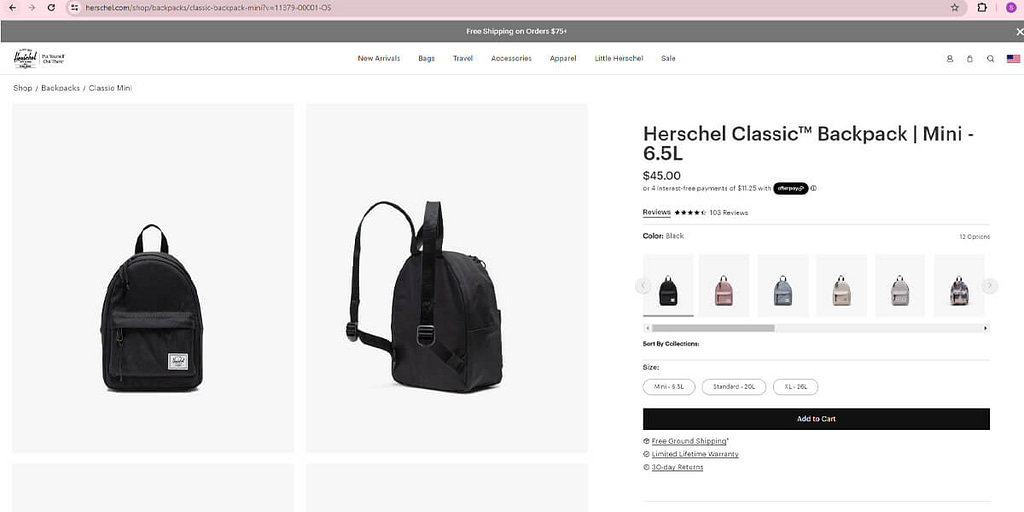 Mini and Specialty Herschel Backpacks