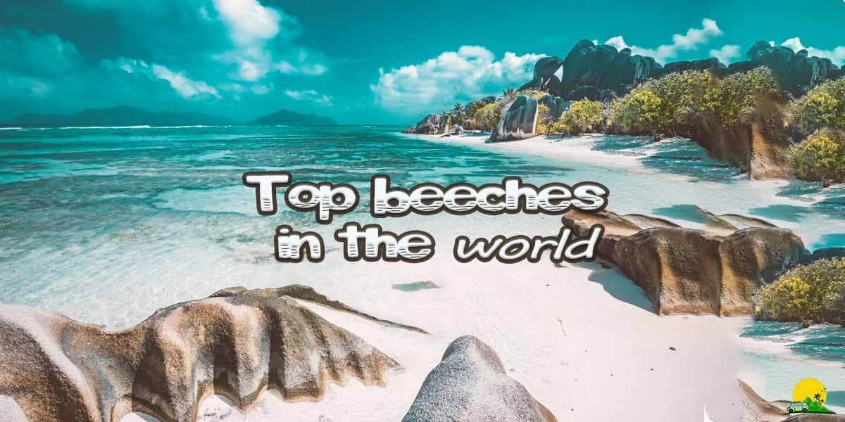 Top Beaches to Visit in the World and Why 