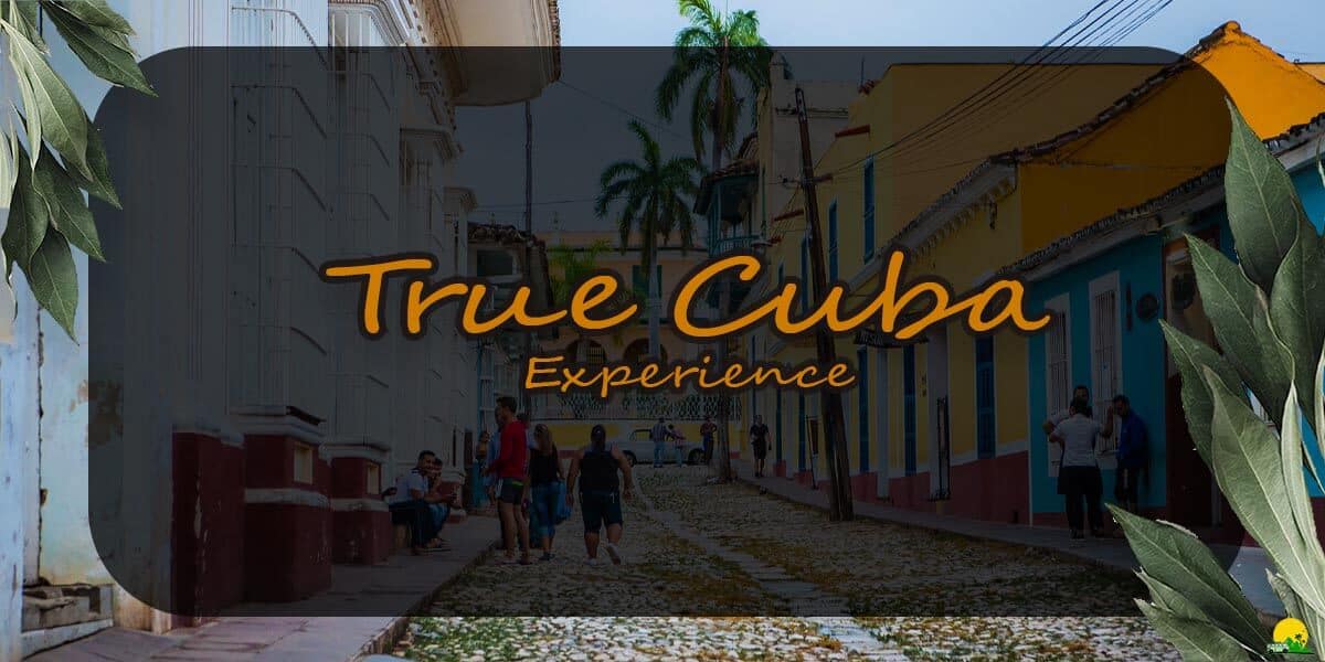 True Cuba Experience